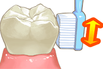 ブラッシング指導のイメージ